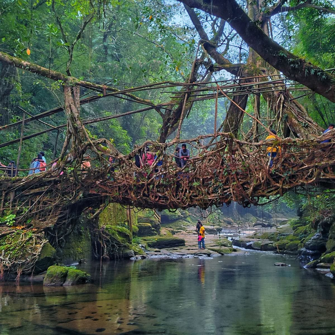 The Double Decker Living Root Bridge at Nongriat, at the end of a roughly 3,500-step descent