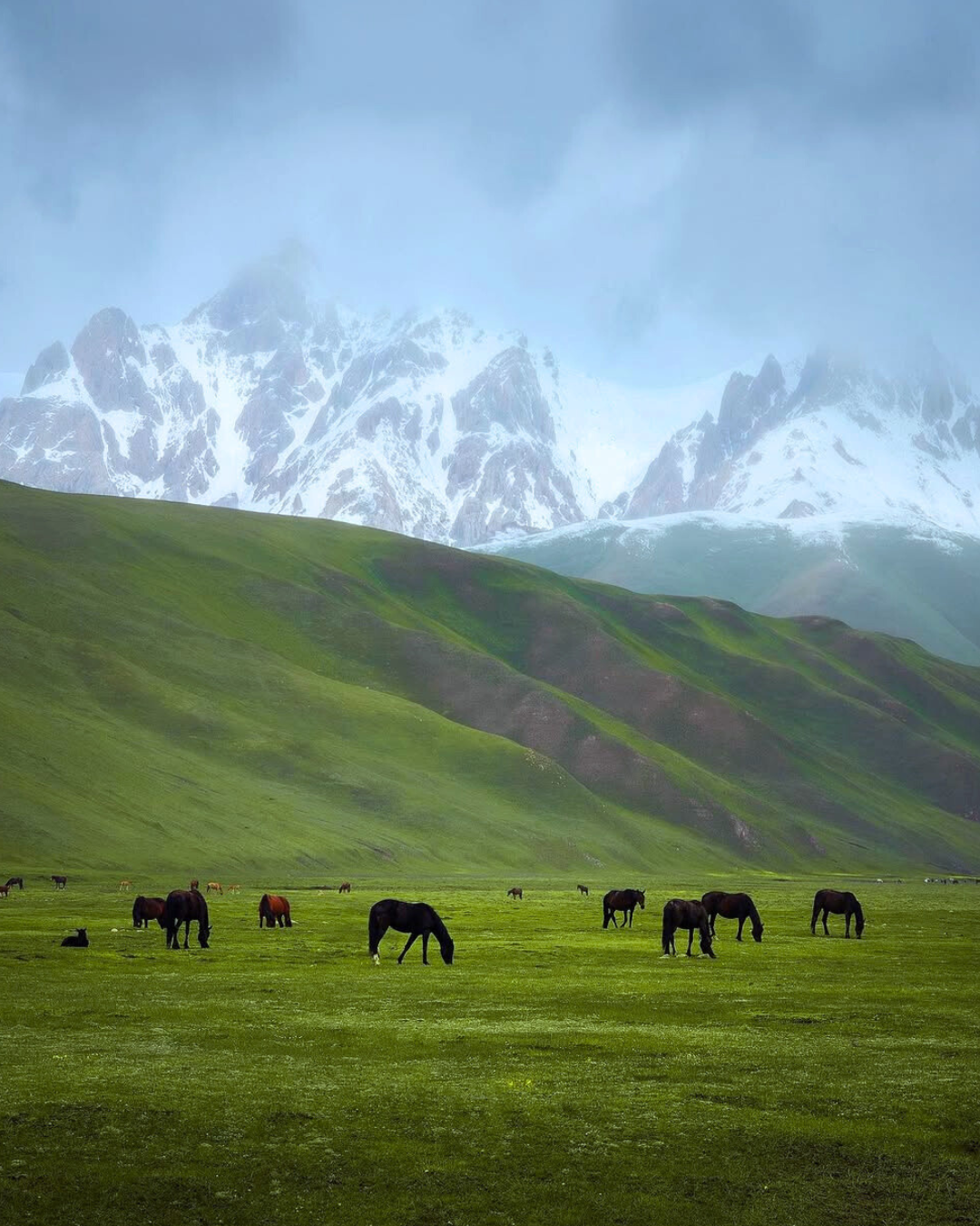 Magic of Kashmir