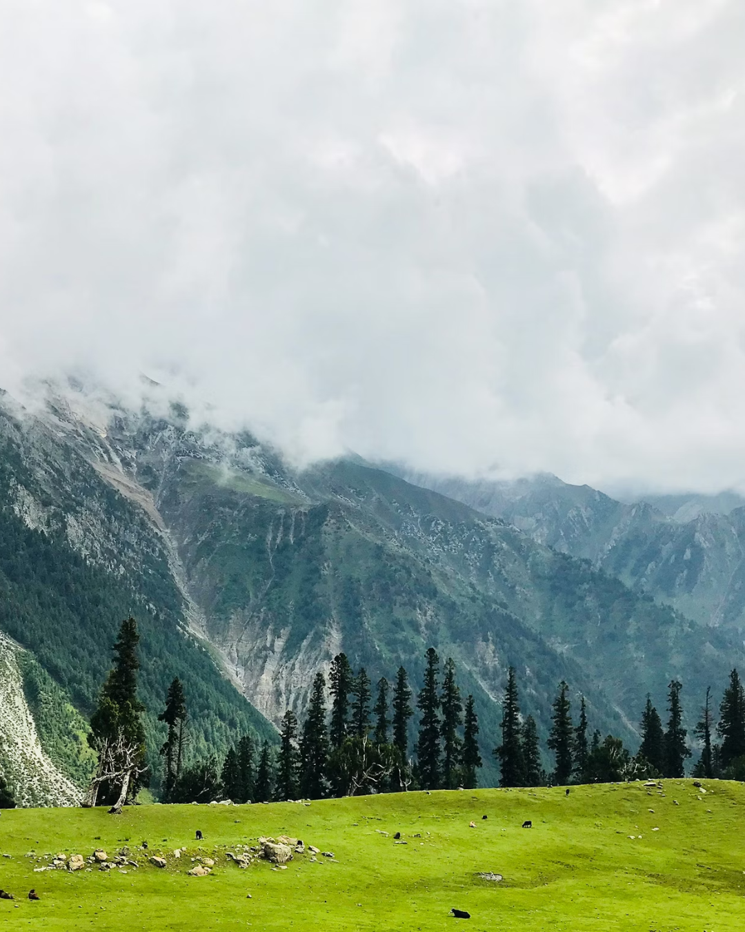 Magic of Kashmir
