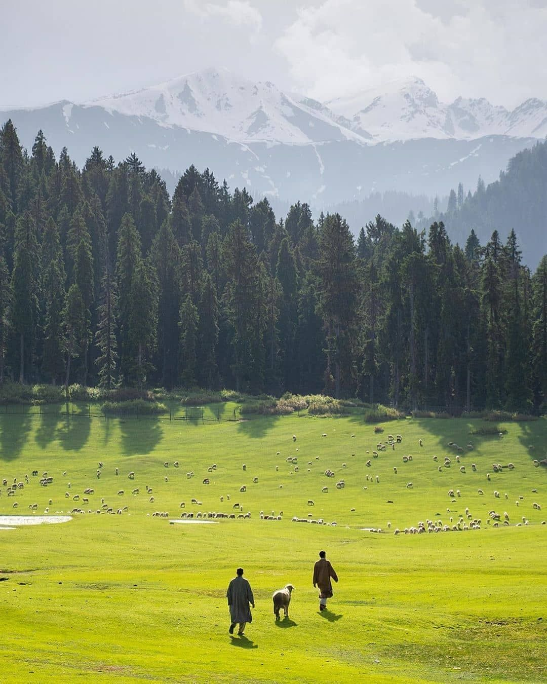 Magic of Kashmir