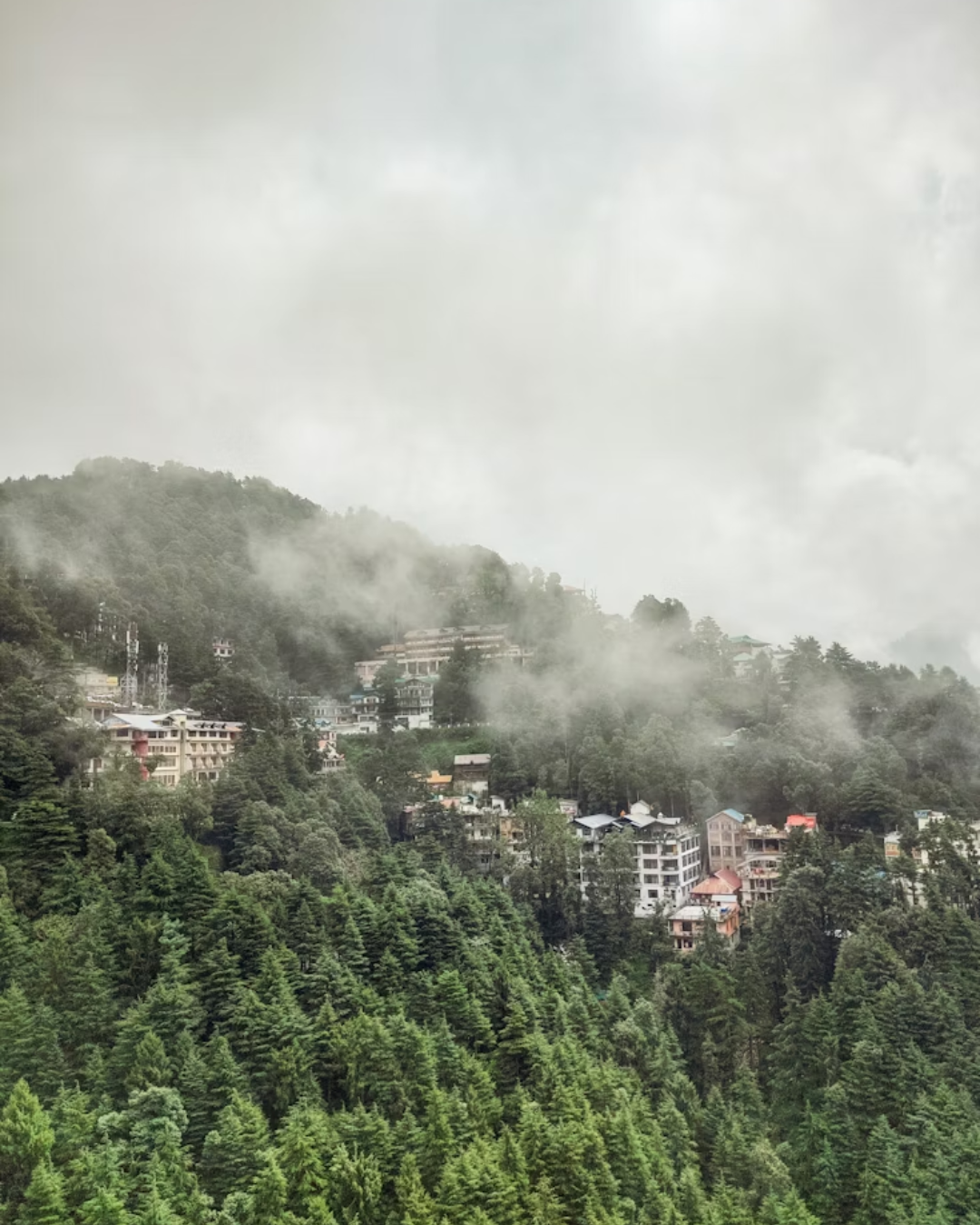 Queen of Hills-Shimla