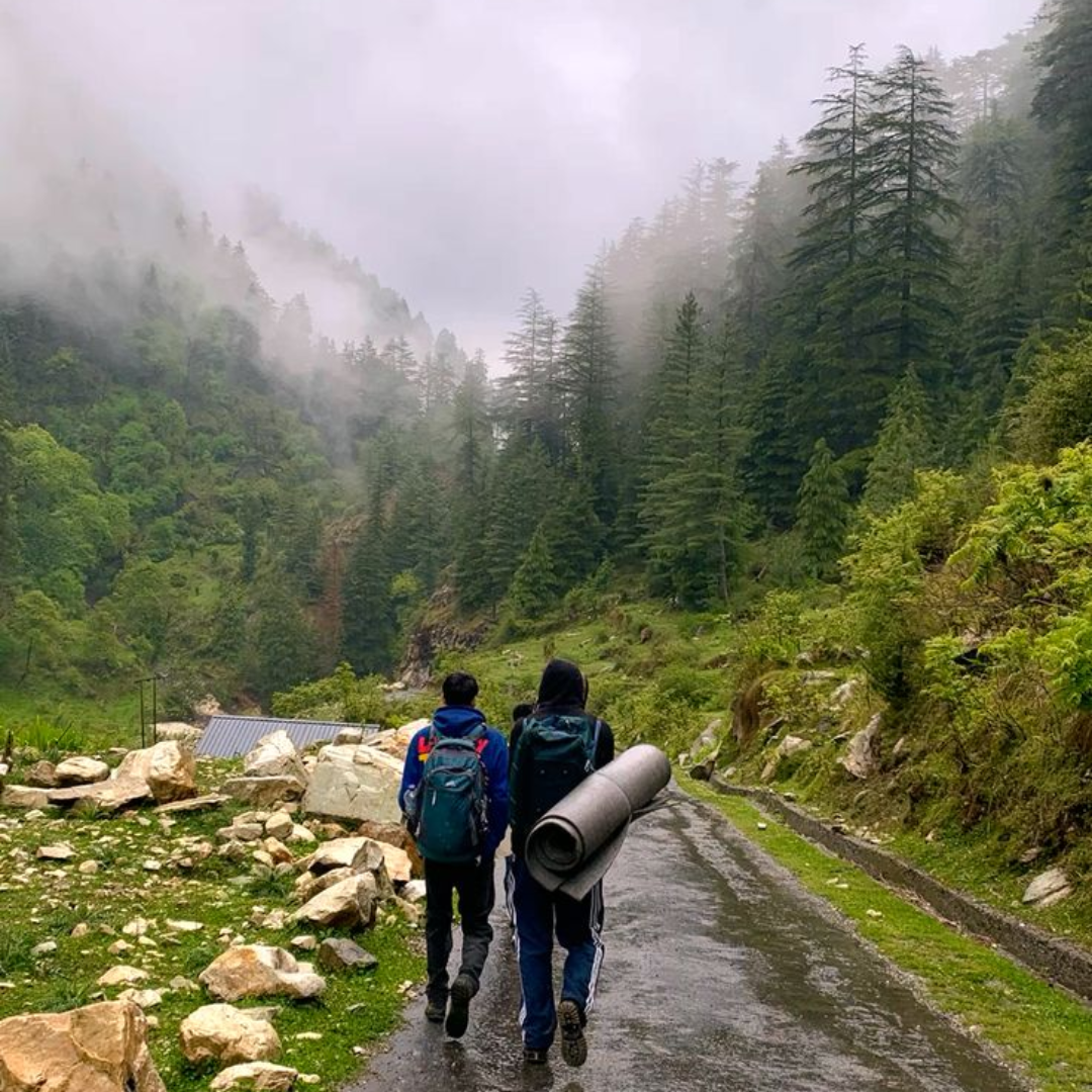 Mountain landscape at Jalori Pass near Jibhi