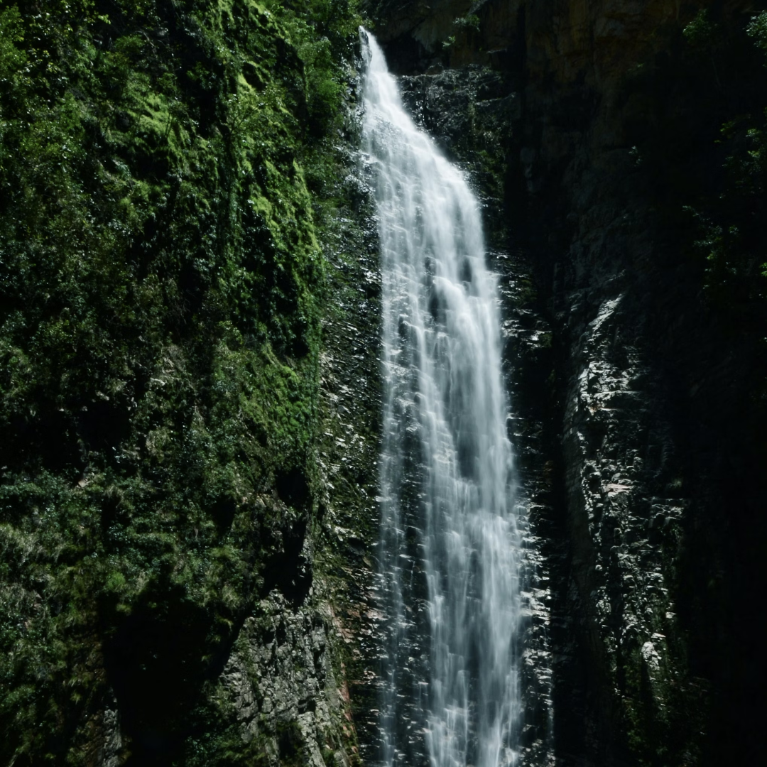 Jibhi Waterfall surrounded by forest in Himachal Pradesh